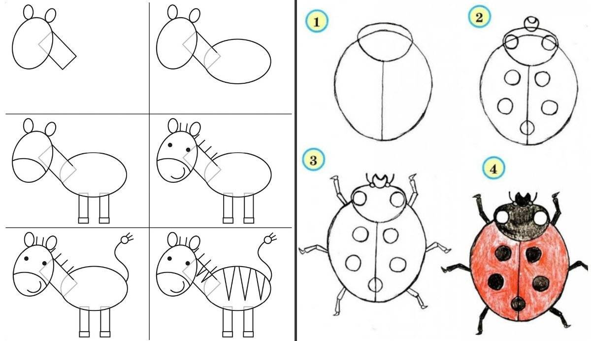 Поэтапно рисование для детей: как научиться дошкольникам, уроки, простые схемы