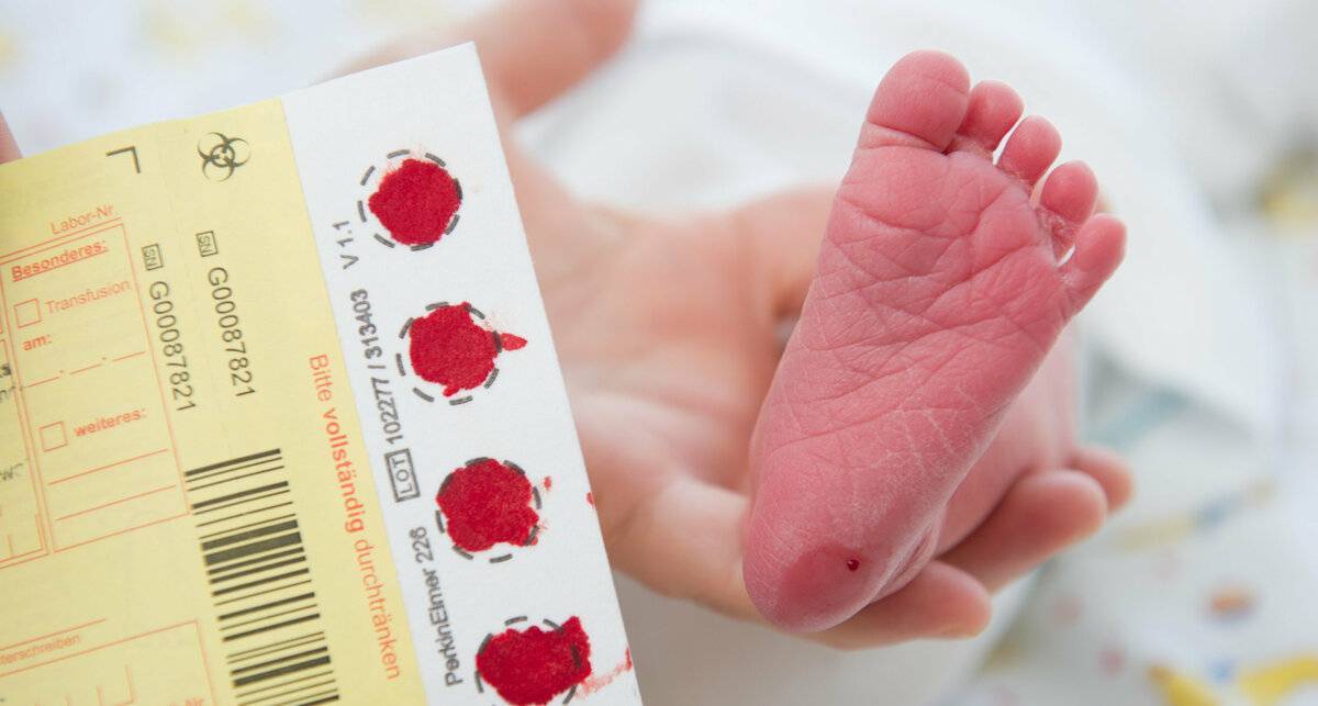 Неонатальный скрининг. зачем у новорожденного берут кровь из пятки?   | материнство - беременность, роды, питание, воспитание