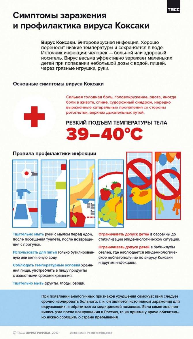 Вирус коксаки: причины, симптомы, лечение