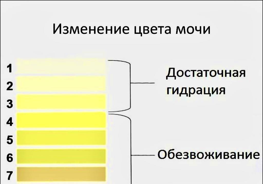 Неприятный запах мочи: а чем пахнет ваша урина?