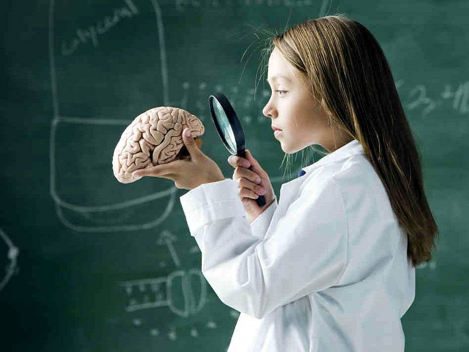Развитие интеллекта — как можно улучшить свои умственные способности