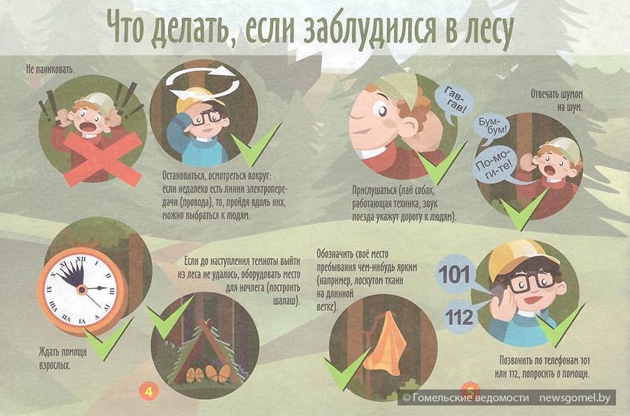 Правила поведения в лесу для школьников