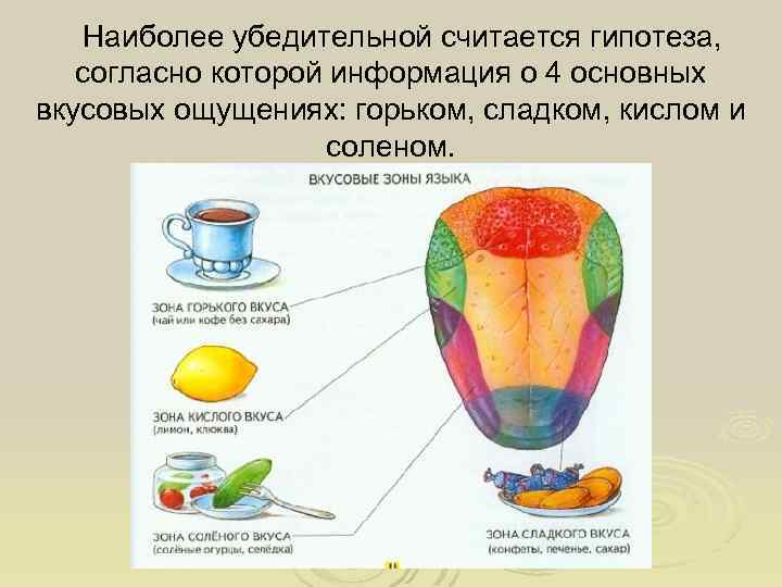 Какими цифрами на рисунке обозначены зоны языка которые воспринимают сладкий и горький вкусы