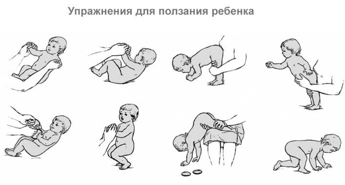 Как научить ребенка ползать: обзор 13 способов, важные правила, советы врача, видео