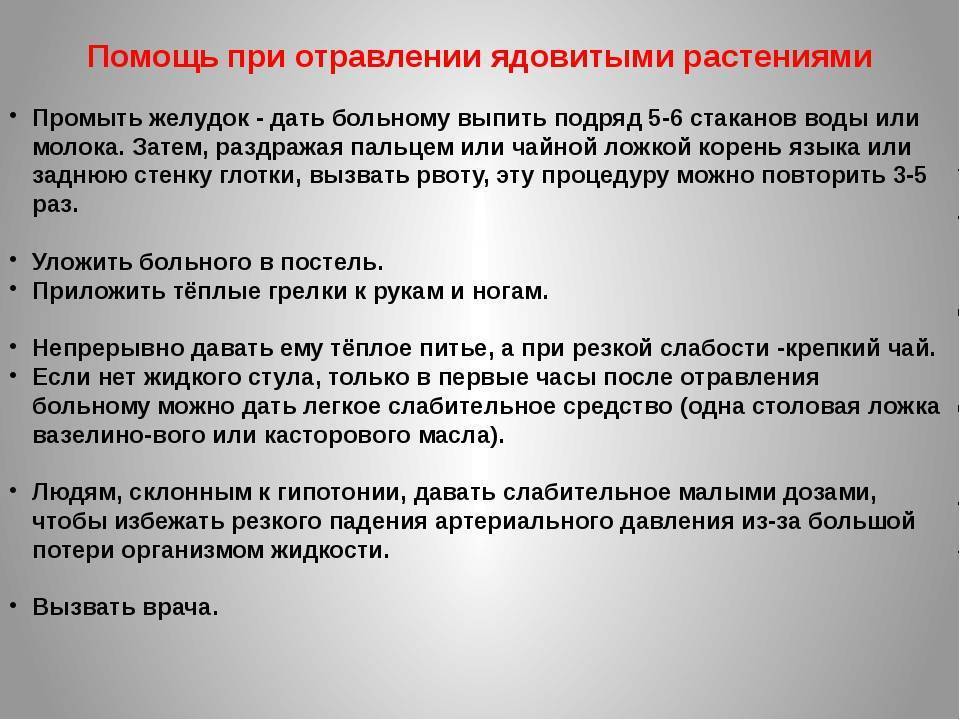 Отравление растениями. Симптомы отравления растениями. Токсикокинетика отравления ядовитыми растениями. Патогенез отравление растением.