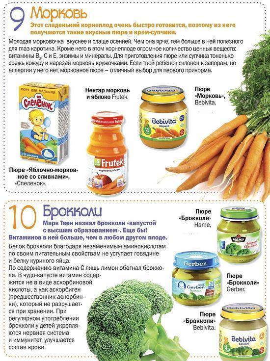 Пюре и суп-пюре из моркови для грудничка: лучшие рецепты. морковное пюре для грудничка: с какого возраста можно давать? сколько морковного пюре и как часто можно давать грудничку? сколько варить морко