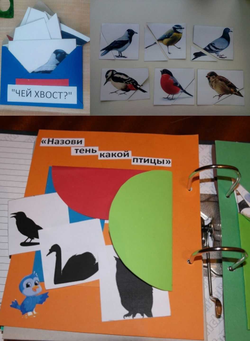 Птицы для детей