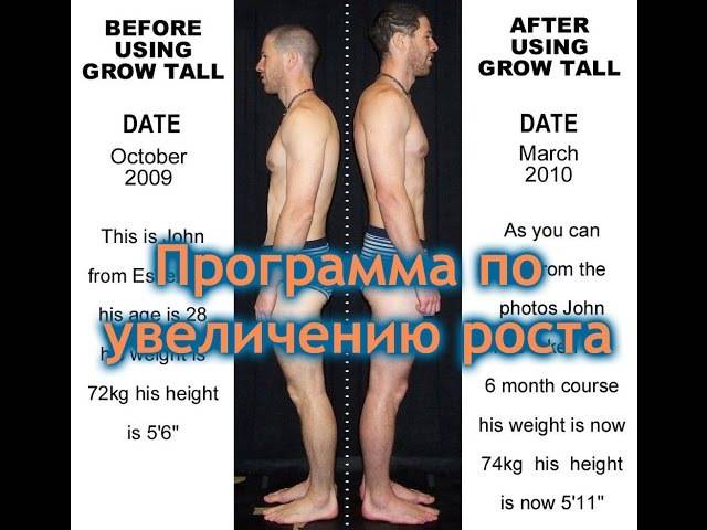 Методика берга: эффективный способ увеличить свой рост