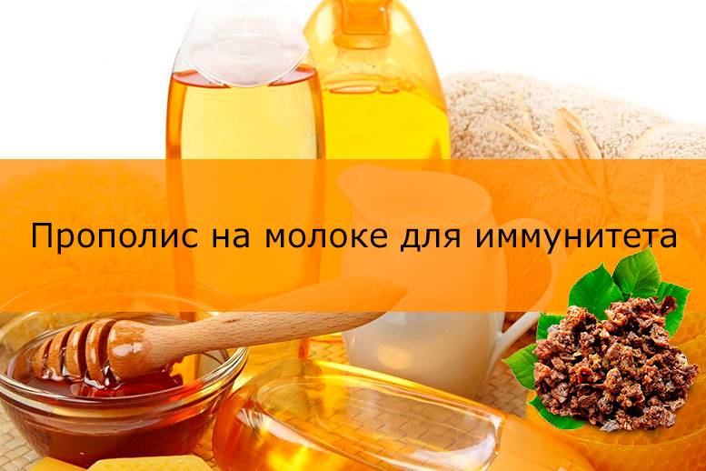 Прополис для поднятия иммунитета: 7 рецептов для взрослых и 1 для дете, реальные отзывы