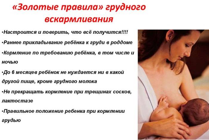 Отлучение от груди - как прекратить грудное вскармливание без последствий