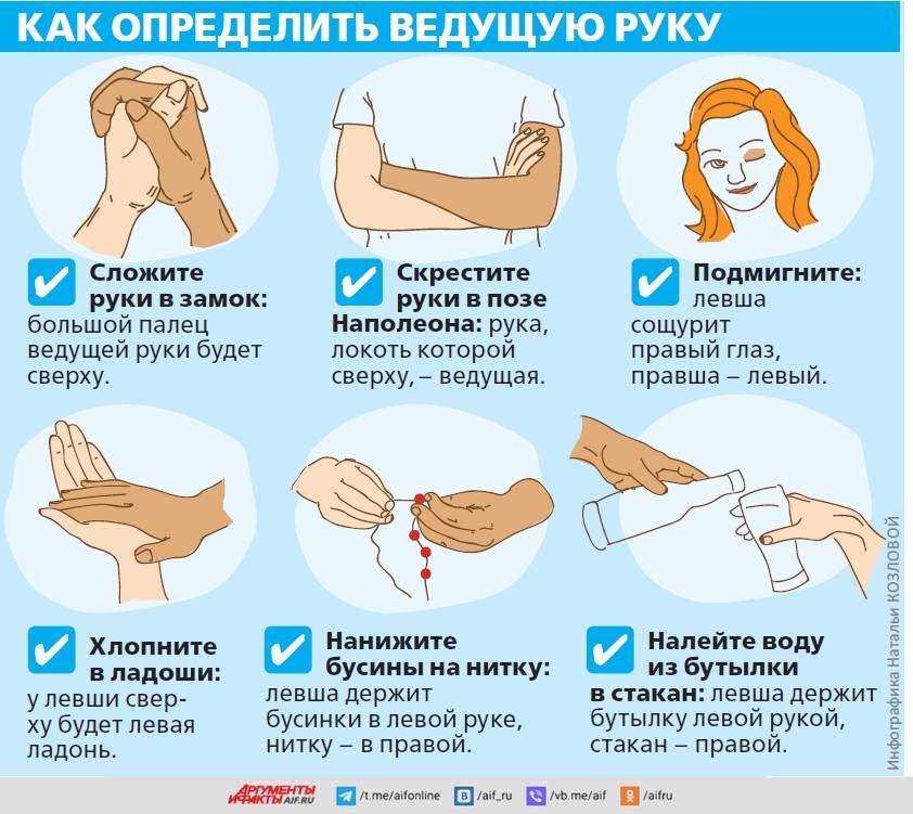 Правша или левша ребенок: как определить