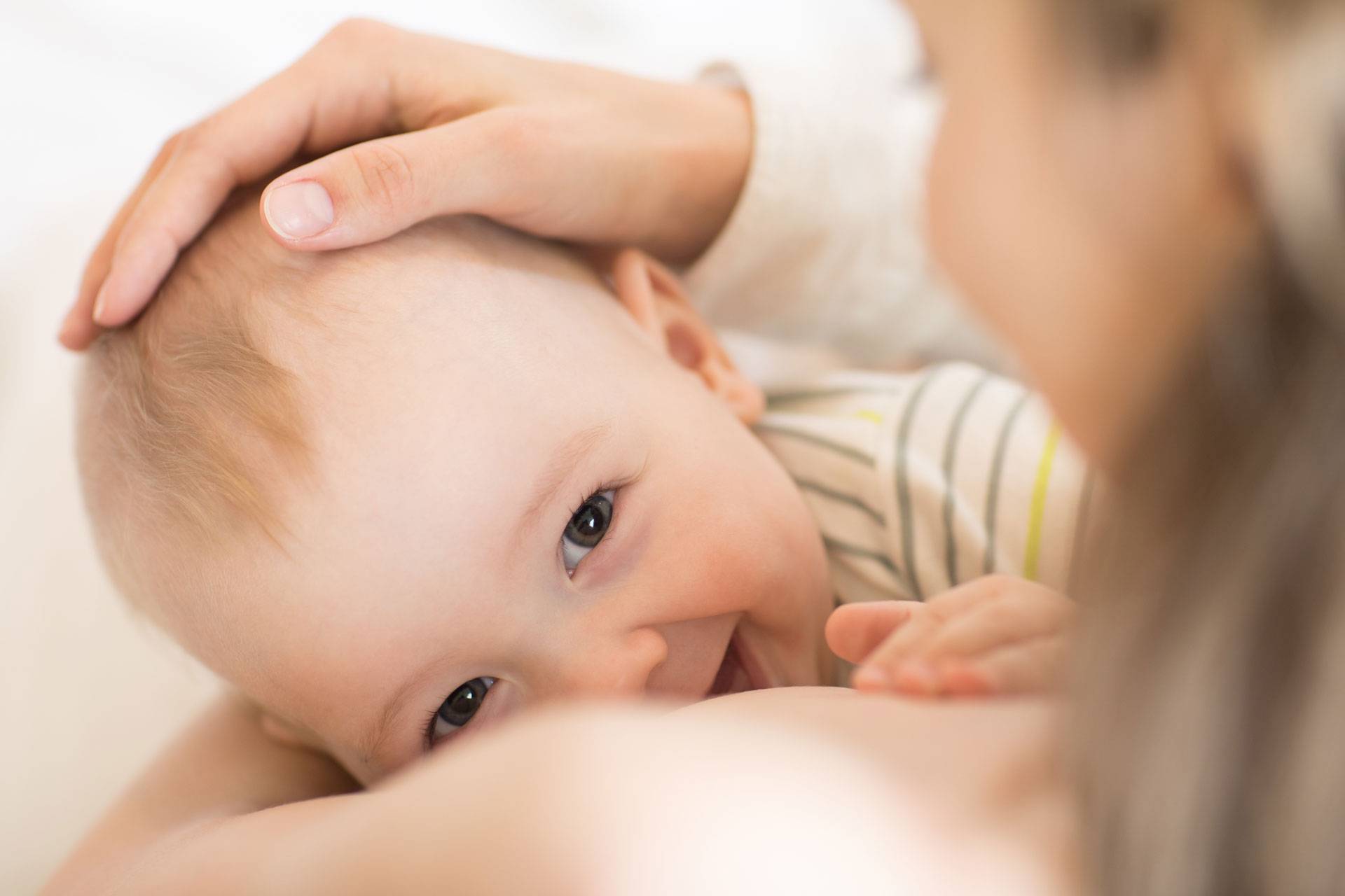 Грудное вскармливание – питание ребенка первого года жизни