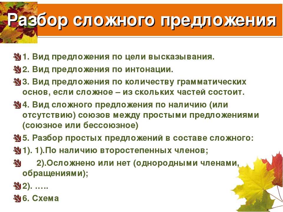 Синтаксический разбор сложного предложения. общий план с примерами