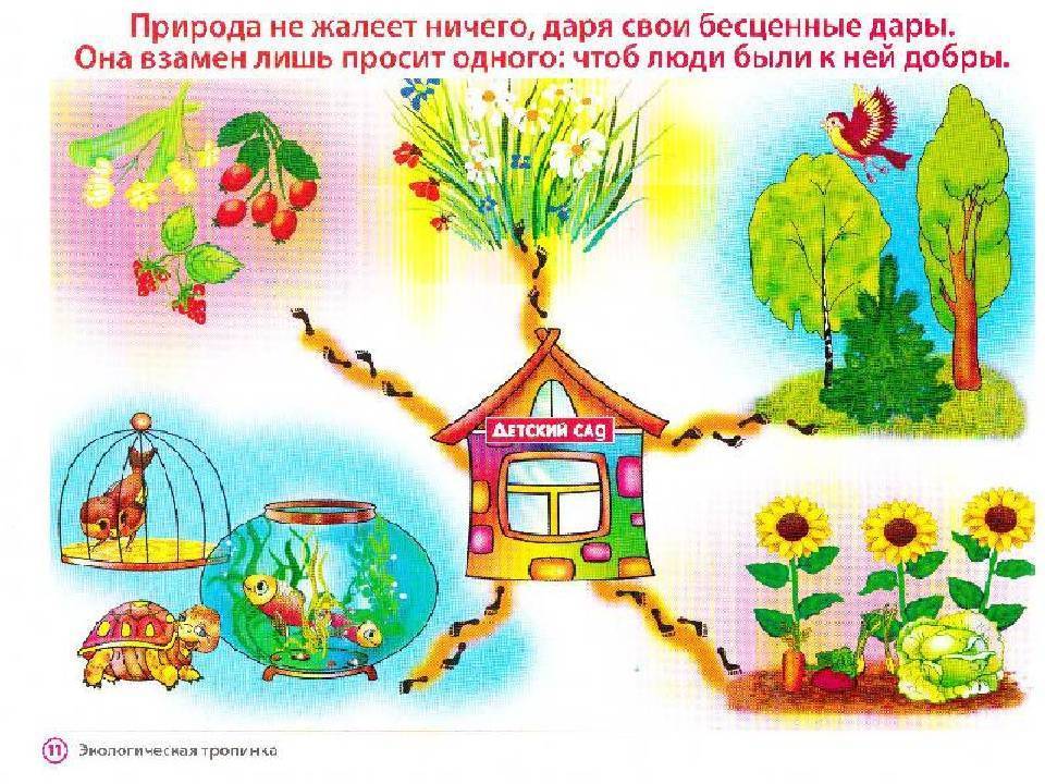 План мероприятий по экологическому воспитанию в мбдоу детском саду №1 на 2021г. календарно-тематическое планирование на тему