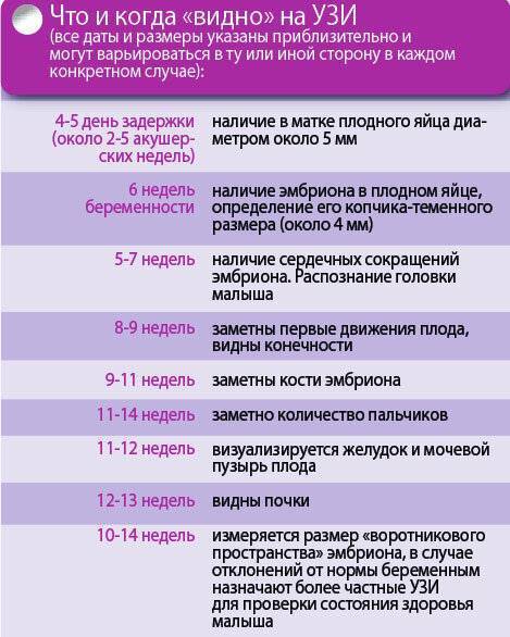 Можно ли беременным наращивать ресницы (на ранних сроках) - в первом,третьем триместре, почему нельзя