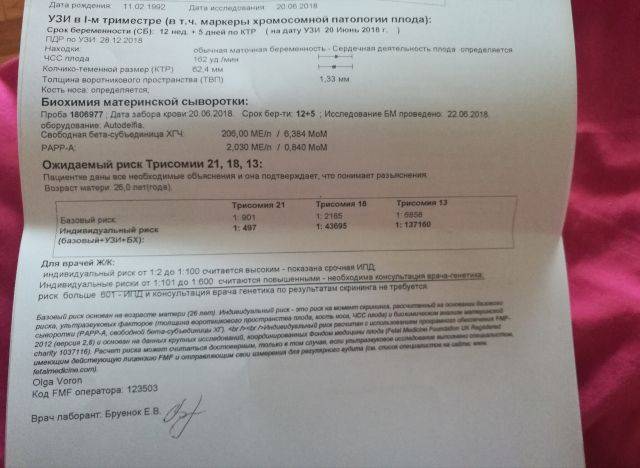 Обязательные анализы во время беременности по неделям и триместрам