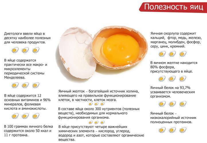 Как вводить желток в прикорм, когда можно давать белок яйца ребенку до года?