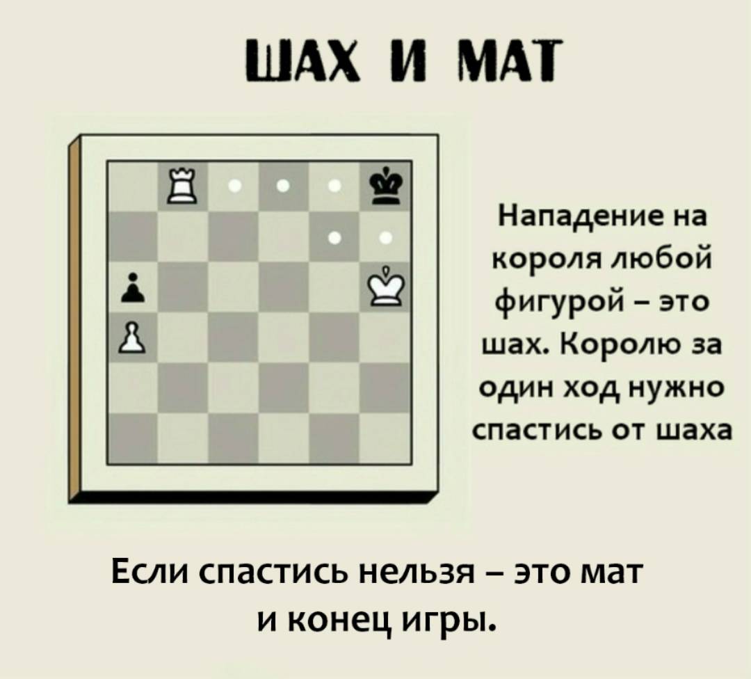 Польза шахмат для детей: что развивают и как научить играть