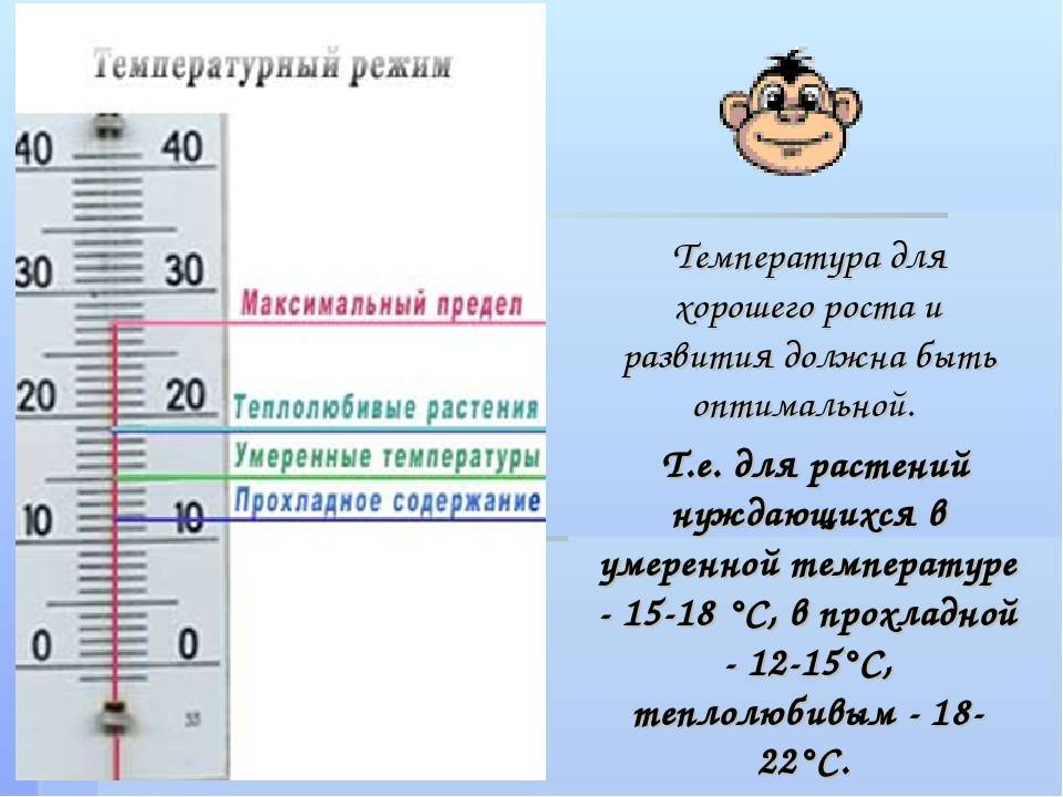 Какая идеальная температура в комнате для новорожденного ребенка