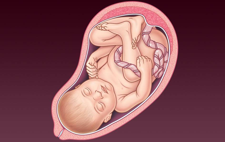 37 неделя беременности – что происходит с малышом, развитие и вес ребенка, живот на тридцать седьмой неделе беременности - agulife.ru