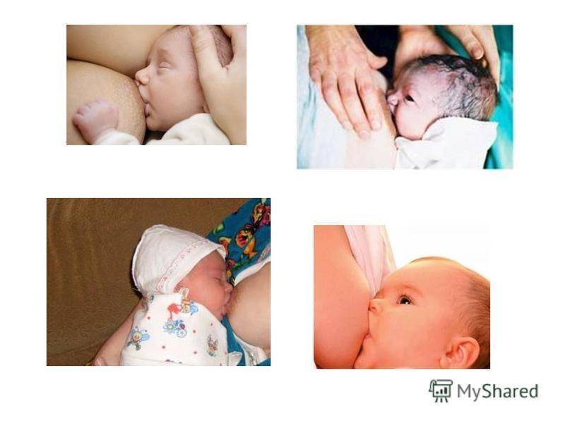 Как правильно кормить новорожденного кроху грудным молоком: прикладывание к груди, кормление по часам и по требованию