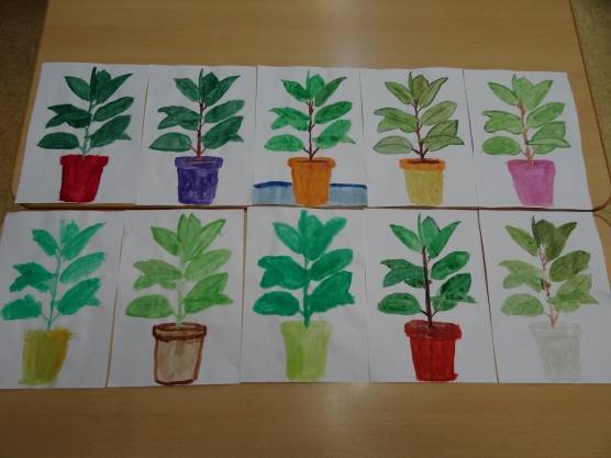 Уроки рисования в старшей группе на тему «Комнатные растения»