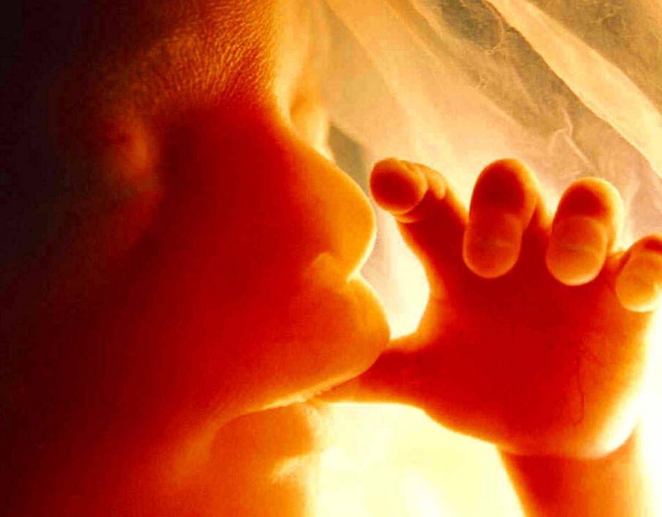 Ребенок умирает в утробе матери: почему, каковы последствия, что будут делать врачи?