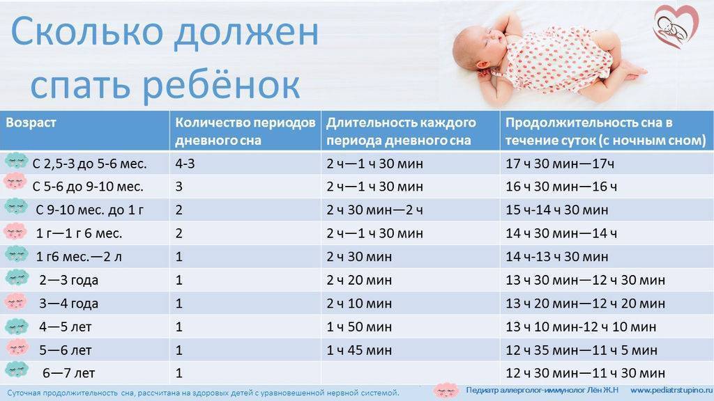 Режим дня ребенка и питания в 7-8 месяцев