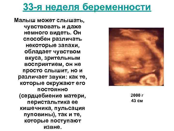 34 неделя беременности. календарь беременности