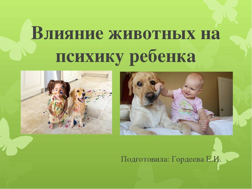 Взаимоотношения детей и домашних животных: что нужно знать ???? дети ???? другое