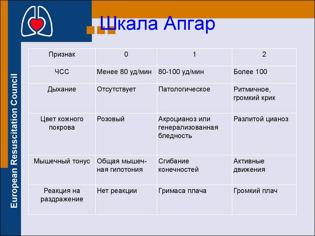 Шкала апгар: что означают баллы, которые выставляют новорожденному