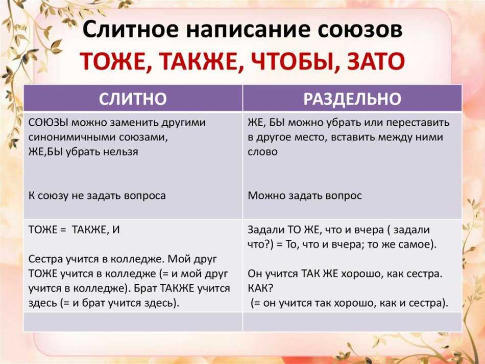 «также» и «так же»: как правильно писать?