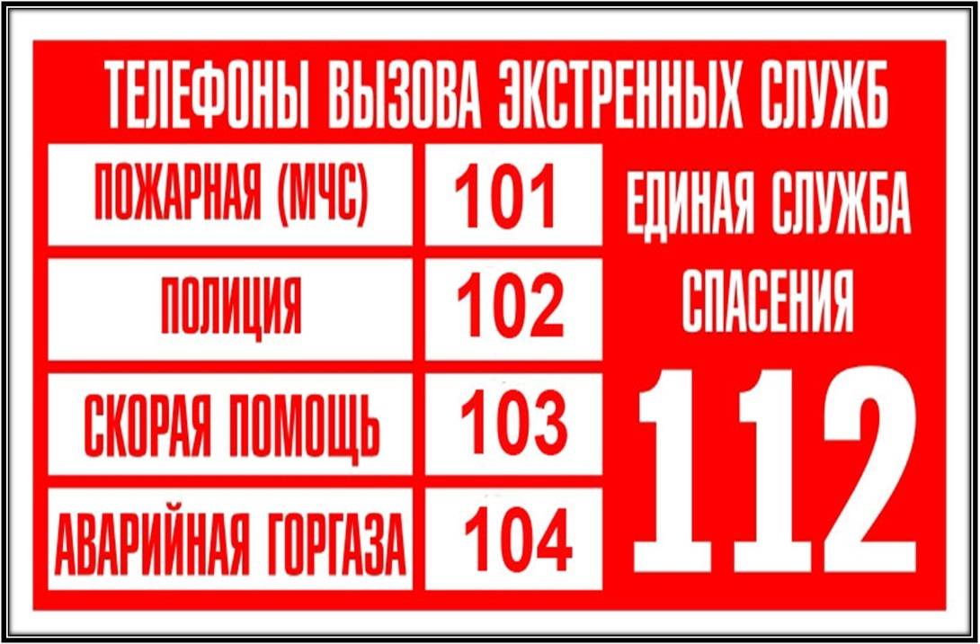 Правила поведения детей в чрезвычайных ситуациях: действия ребенка при чс, инструкция по противодействию терроризму