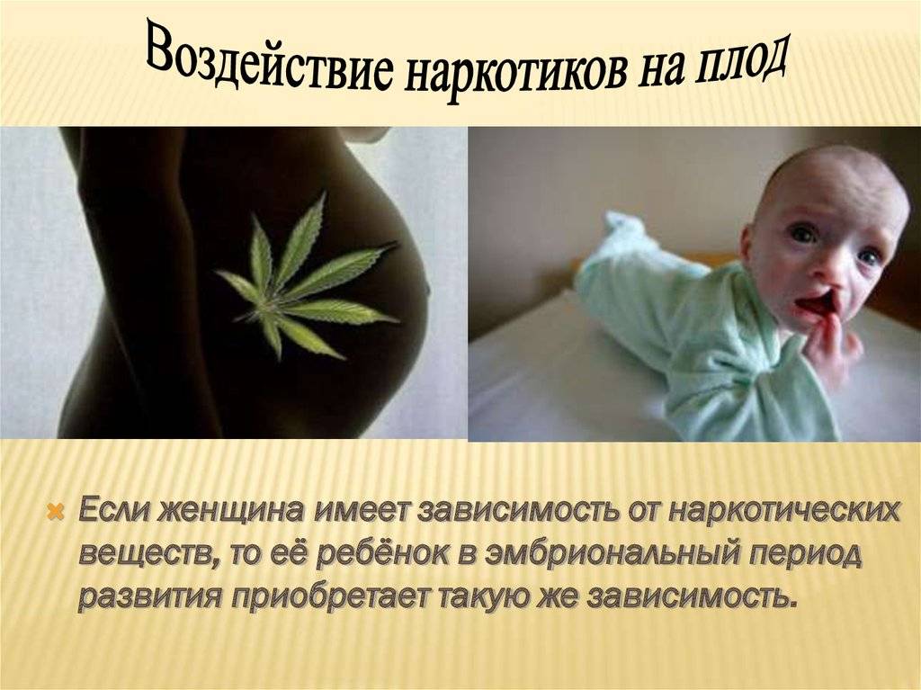 Ребенок отец курит марихуану купить наркотики гашиш бошки шишки лсд закладки
