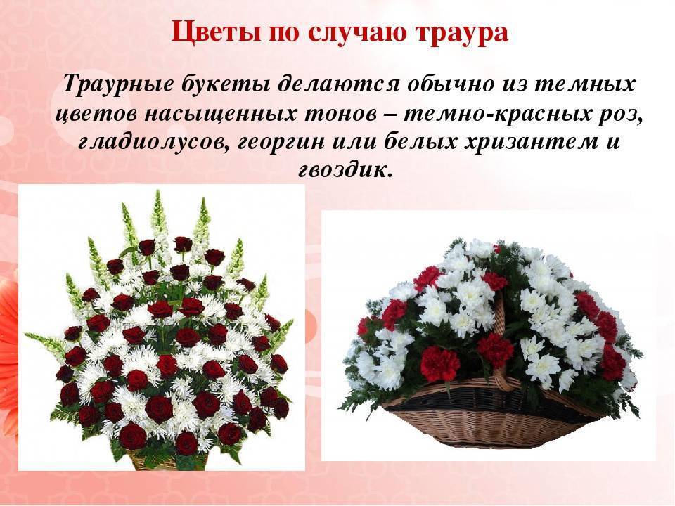 ᐉ какие цветы можно дарить мужчине: цветочный этикет и дизайн букета. какие цветы можно дарить мужчинам - mariya-mironova.ru