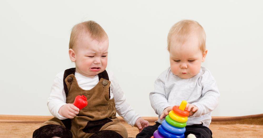 Почему ребенок отбирает игрушки у других детей? как объяснить, что этого делать нельзя?