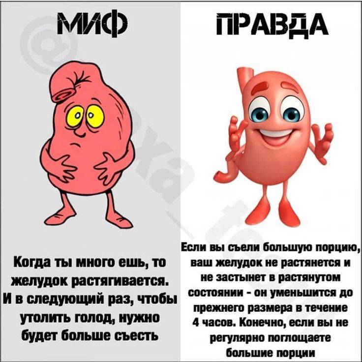 Концепция просветления в учении д. т. судзуки: теория и практика вопрошания