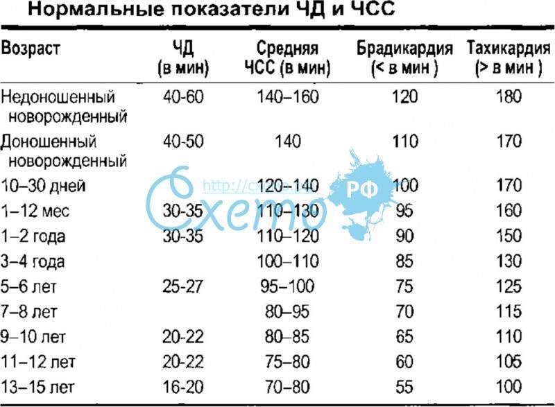 Сколько вдохов в минуту у ребенка после физической нагрузки