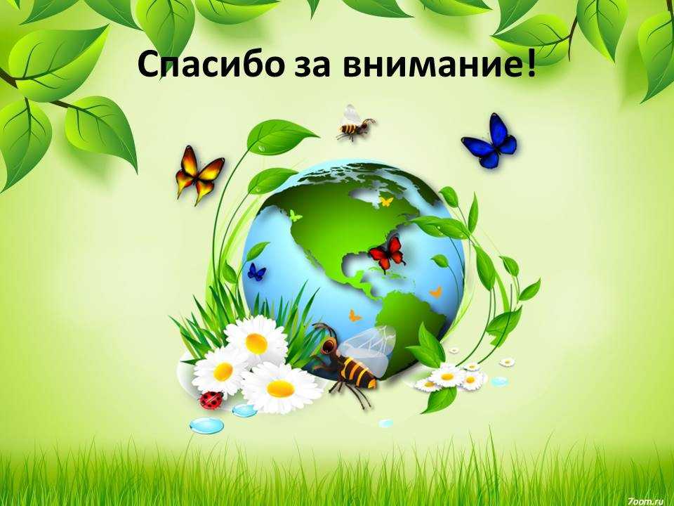 Экологическое воспитание детей дошкольников