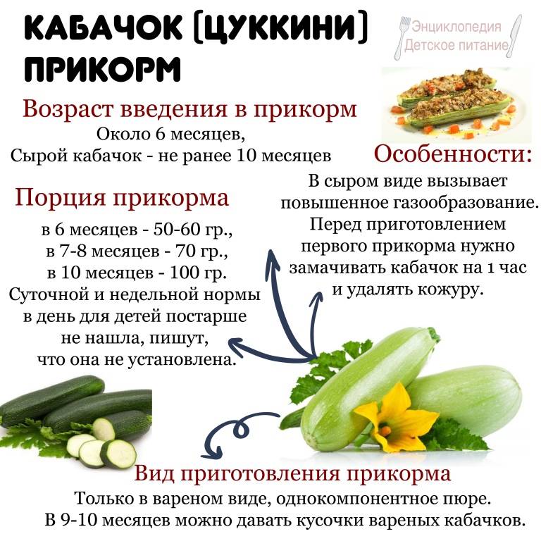 Кабачок для грудничка – готовим первый прикорм