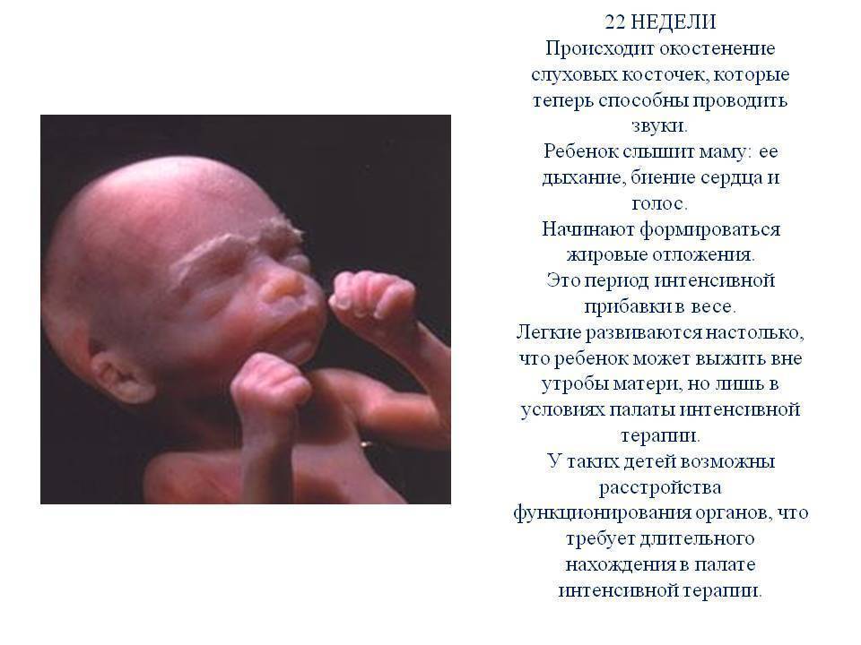 Во сколько младенцы начинают видеть и слышать - детская городская поликлиника №1 г. магнитогорска