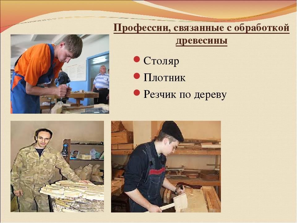 Профессии связанные с деревом: презентация по технологии на тему "профессии, связанные с обработкой древесины" (6 класс)