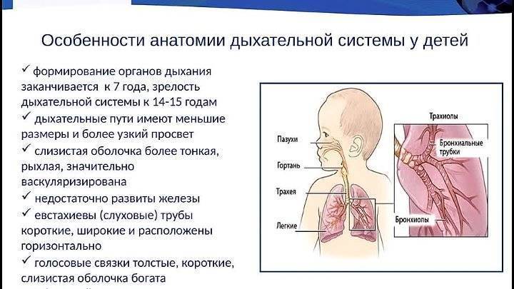 Ребенок очень часто дышит во сне при температуре и кашле