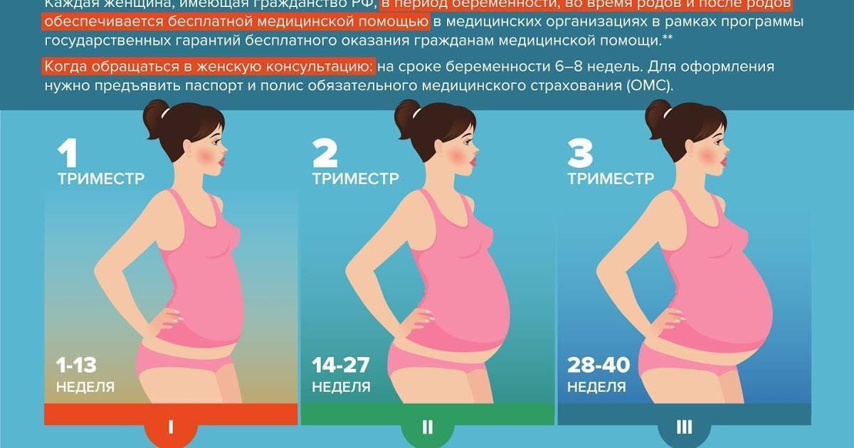 Узи в третьем триместре беременности: как рожать будем?