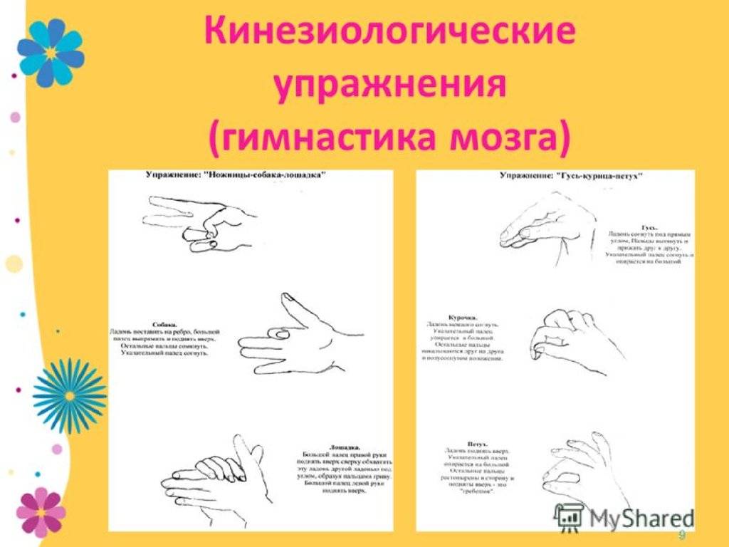 Что такое кинезиологические упражнения и чем они полезны для дошкольников?