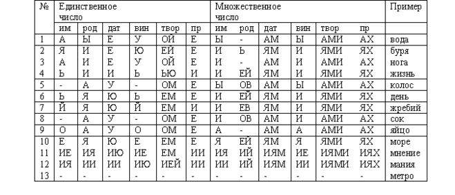 Окончание - правила правописания, значение и роль, примеры подборки
