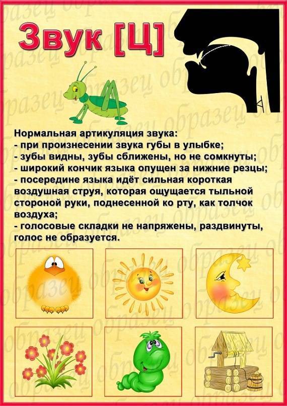 Артикуляционная гимнастика для постановки звуков с з ц