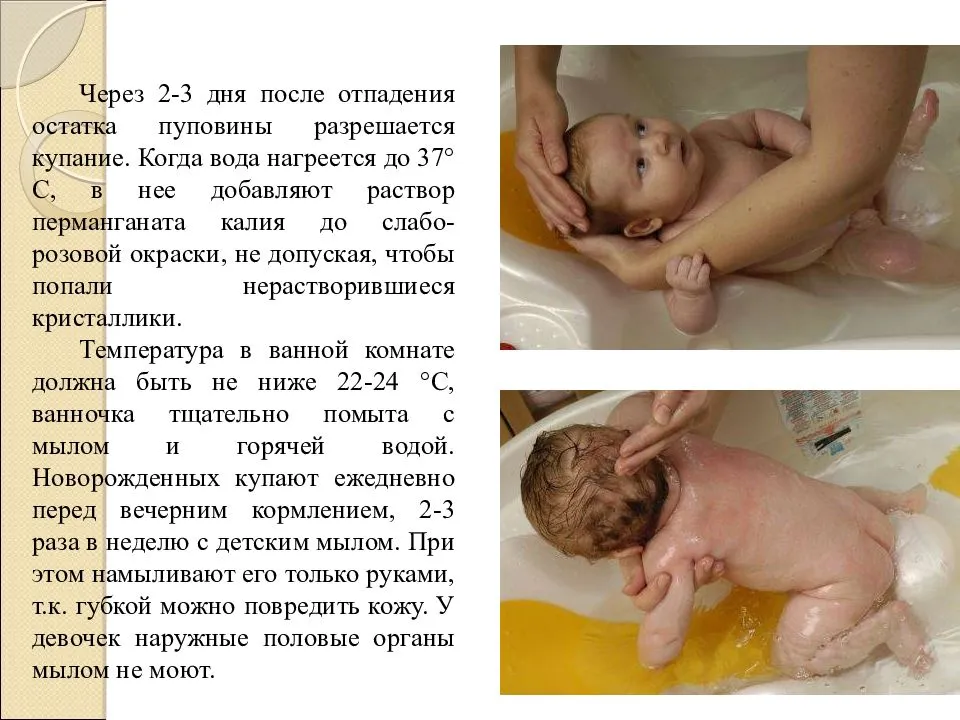 Всё об интимной гигиене новорожденной девочки – как правильно подмывать новорожденную девочку