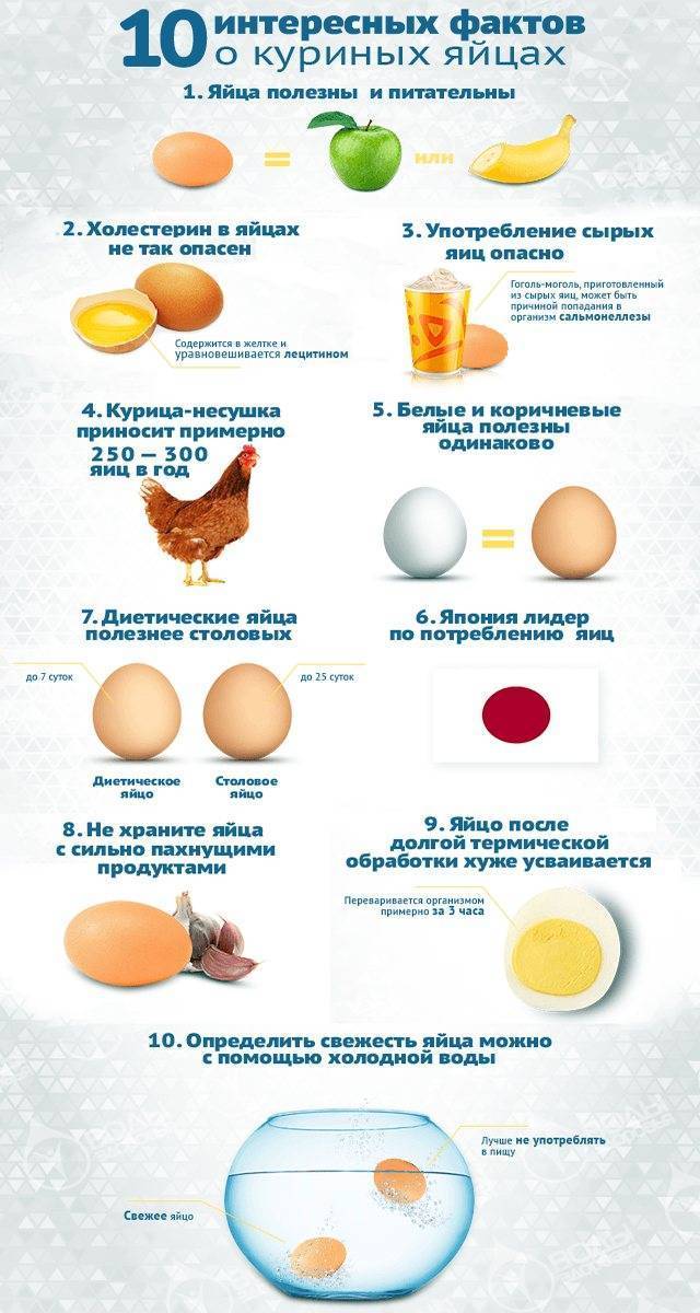 С какого возраста можно давать ребенку куриное и перепелиное яйцо в прикорм? когда можно давать белок, желток яйца ребенку, яйцо целиком, всмятку? сколько куриных и перепелиных яиц можно есть в день, в неделю ребенку до года, года, в год и 2 года?