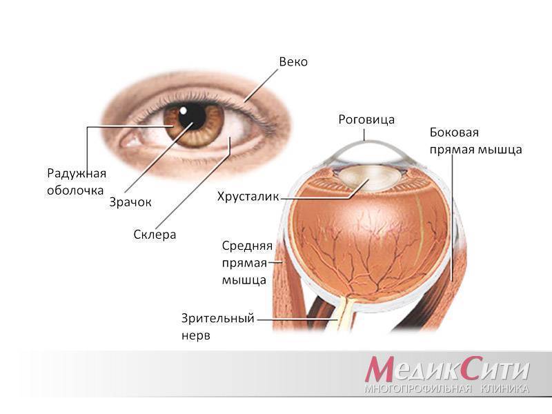 Ангиопатия сетчатки глаза